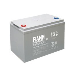 Batteria fiamm 100ah-12v