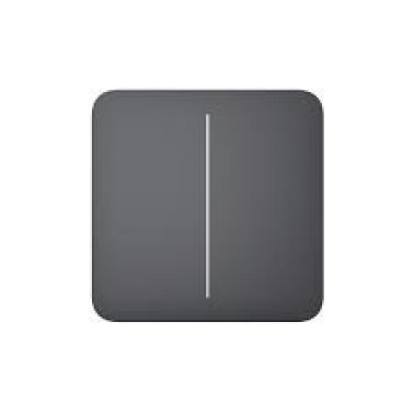 Solobutton (2-gang) [55] asp graphite tasto per