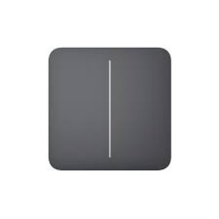 Solobutton (2-gang) [55] asp graphite tasto per