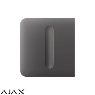 Sidebutton (dimmer) [55] (8eu) asp grey