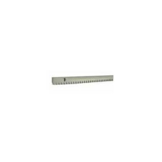 Cremagliera 12x30 zinc.con distanz.