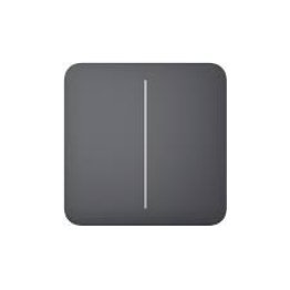 Solobutton (2-gang) [55] asp graphite tasto per