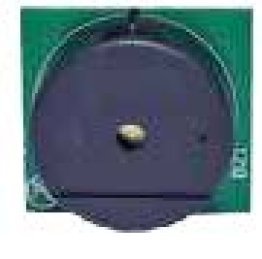 Scheda buzzer innesto per volt/ retrofit