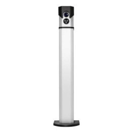 Izero 2 - telecamera ip con ocr in colonnina